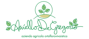 Degregorio